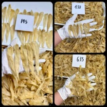 500头花胶鱼胶干货批发豆仁胶 深海黄花胶 小胶仔 鱼肚胶 鱼鳔
