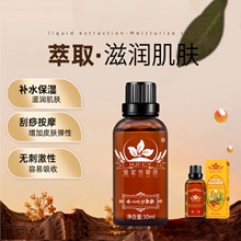 ���S؛Դ�������Ͱ�Ħ���w�_���i�����������ԺSPA���ß��