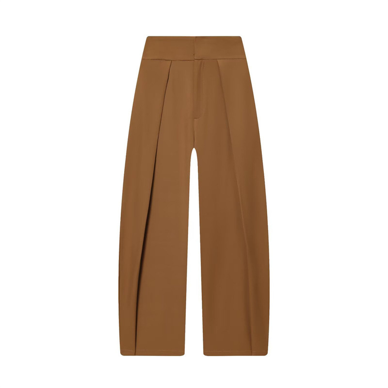 Foreign Trade Wholesale Women's Autumn New Fashion Simple Casual Versatile Front Pleated High-Waisted Trousers