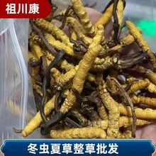 ���x�Ĳ������F����Ϻ����x�����灆����x�ݻ���˹���x�Ĳ����l