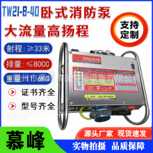 ��ʽ��Я������ ��������ѹ��ˮ���� ����̱���ʽ TW21-B-4D
