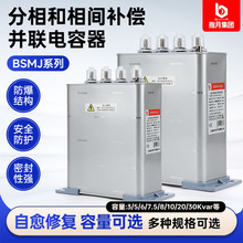 ָ�� ���a�������� BSMJ0.25-30-3YN  �������㾀 4���Ӿ���