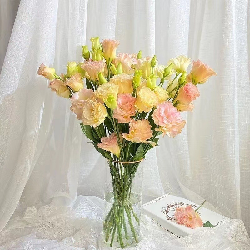 レアカラーのエリュケンバの花、新鮮なミックス、屋内水耕栽培、家庭用フラワーアレンジメント、オフィス、雲南基地直送|undefined