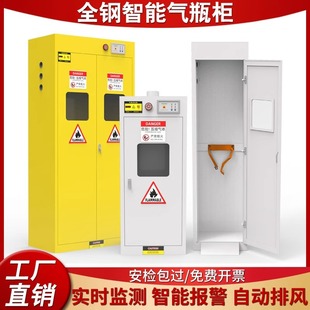 All-Steel Explosion-Proof Gas Cylinder Cabinet Safety Cabinet Laboratory Double-Bottle Gas Tank Acetylene Nitrogen Hydrogen Gas Cylinder Storage Cabinet