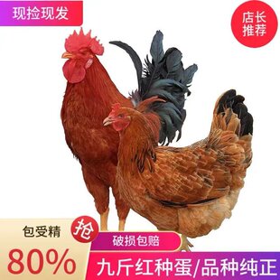 �Ž�t��380�N���ɷ�����t���u����ܾ����u�ܾ��ѿ���ͮa���u