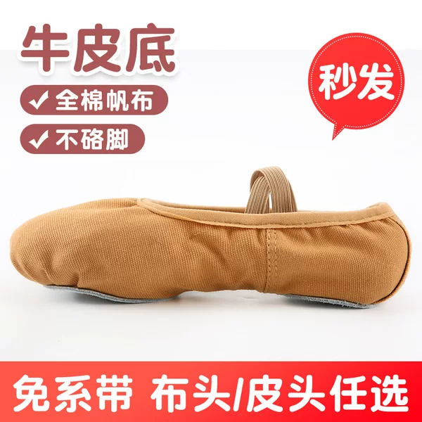 Camel Dance Shoes Lace-free Elastic Mouth Women's Soft Sole Practice Shoes Body Yoga Cat Claw Shoes Dance Shoes Wholesale