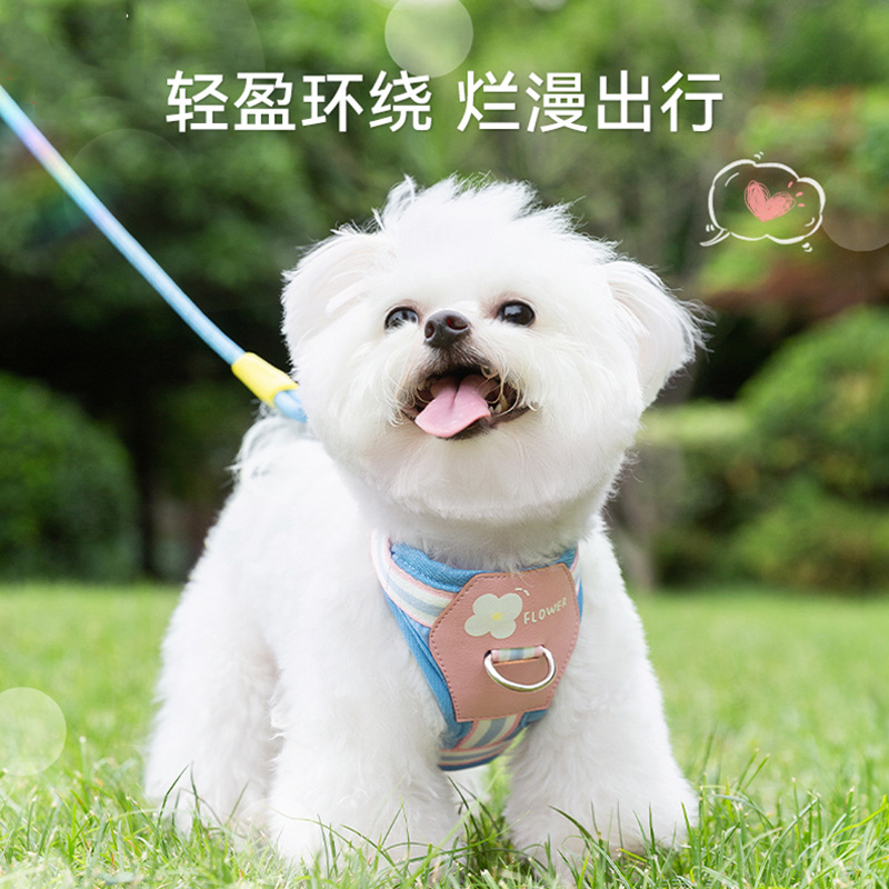 Four Seasons General Dog Outing Colorful Little Flower Rayas Correa en el pecho Chaleco de gato Cuerda de tracción para mascotas