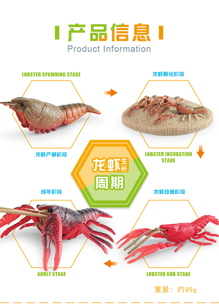 图层 2.jpg