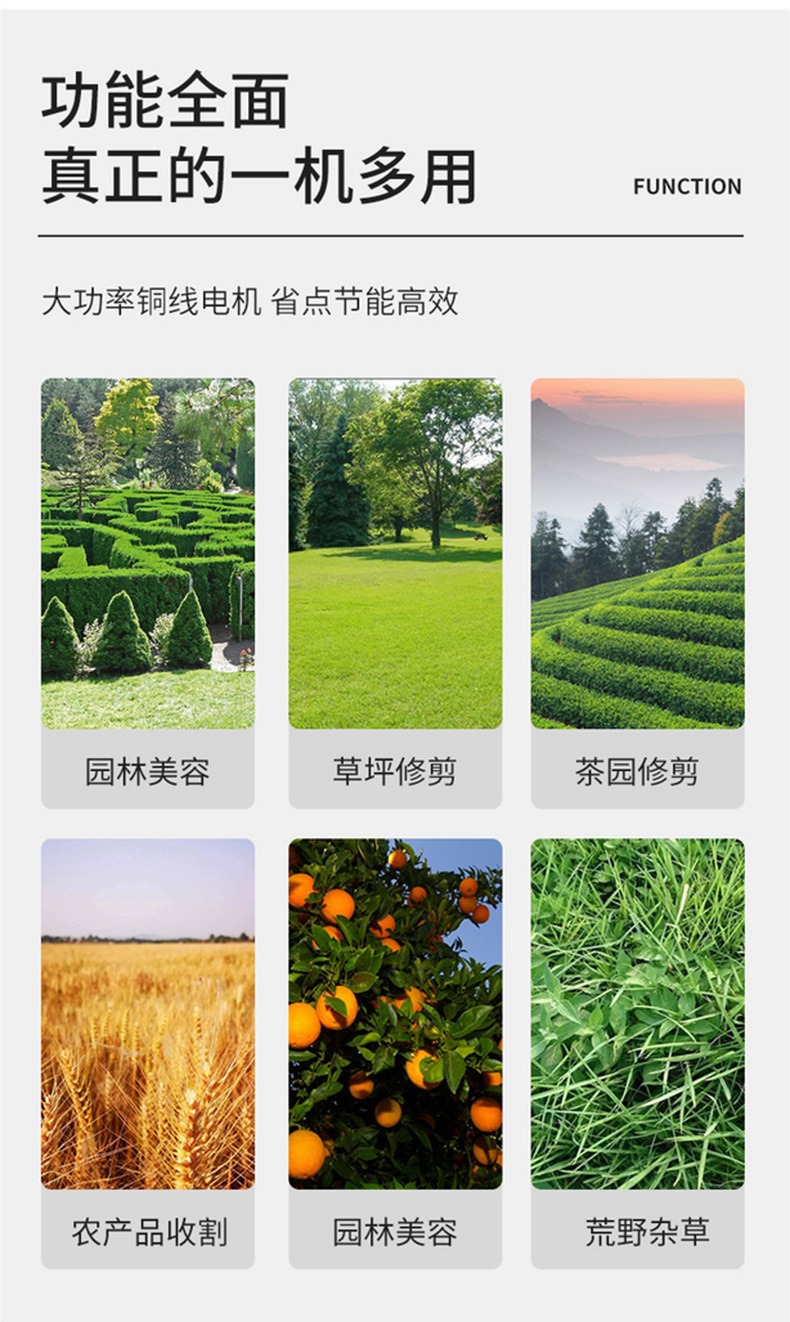 详情01_11.jpg