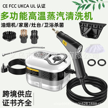 蒸汽清洁机3.5BAR布艺清洗机Steam Cleaner高温高压蒸汽清洗机