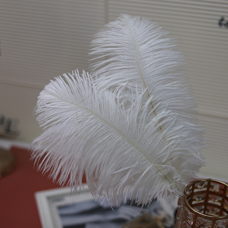 Plumas de avestruz bodas blancas de avestruz guía de plumas accesorios de fotos adornos rojo rosado en línea grandes plumas decoración