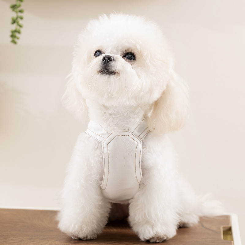 Moda coreana primavera y verano perro chaleco de mezclilla falda traje perro pequeño y mediano peluche ropa coreana para perros