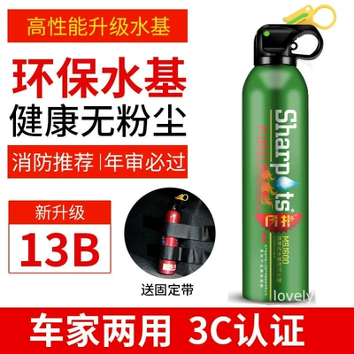Vehicle fire extinguisher: Use in Cars and Homes, Annual - flash-green-13b-fixed-strap