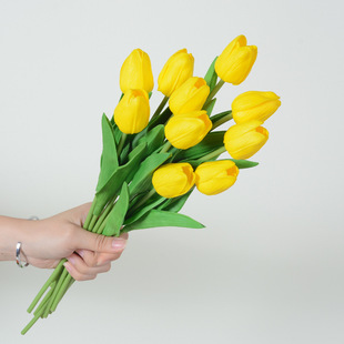 PU�������������ٻ����W�L�ӼҾƵ��Y���b羳���N�� �滨