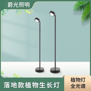 Plant lamp floor-to-floor indoor fleshy flowers full-spectrum growth fill light green plant wall potted plant growth Light