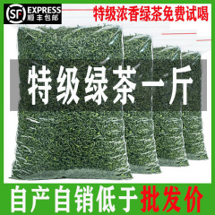 【一斤500g】2025新茶叶高山云雾绿茶春茶毛尖茶日照充足散装送礼