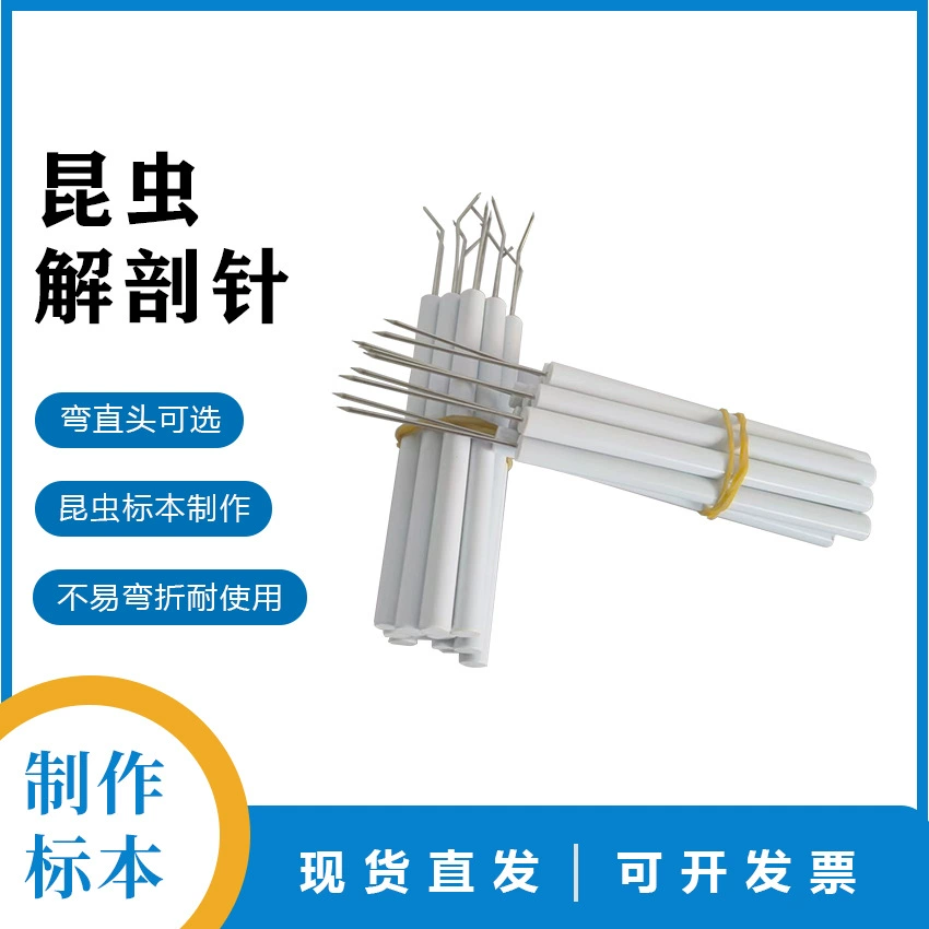 Игла для рассечения насекомых игла для рассечения из нержавеющей стали обычные инструменты для изготовления и рассечения образцов насекомых Zhike Hongrun