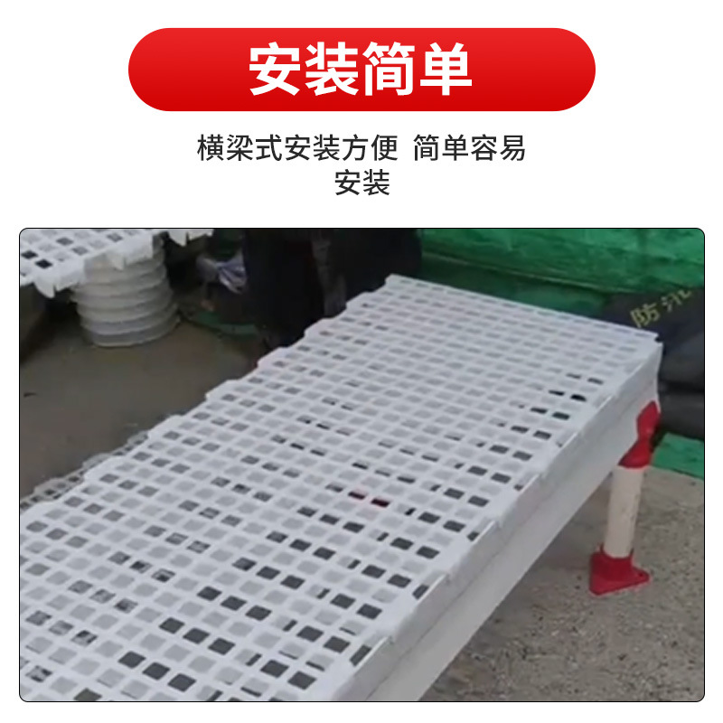 Placa de fugas de estiércol para pollo, conejo de aves de corral, pie de plástico de estiércol, placa de fugas de estiércol, placa de malla de fugas de estiércol, piso de gallinas