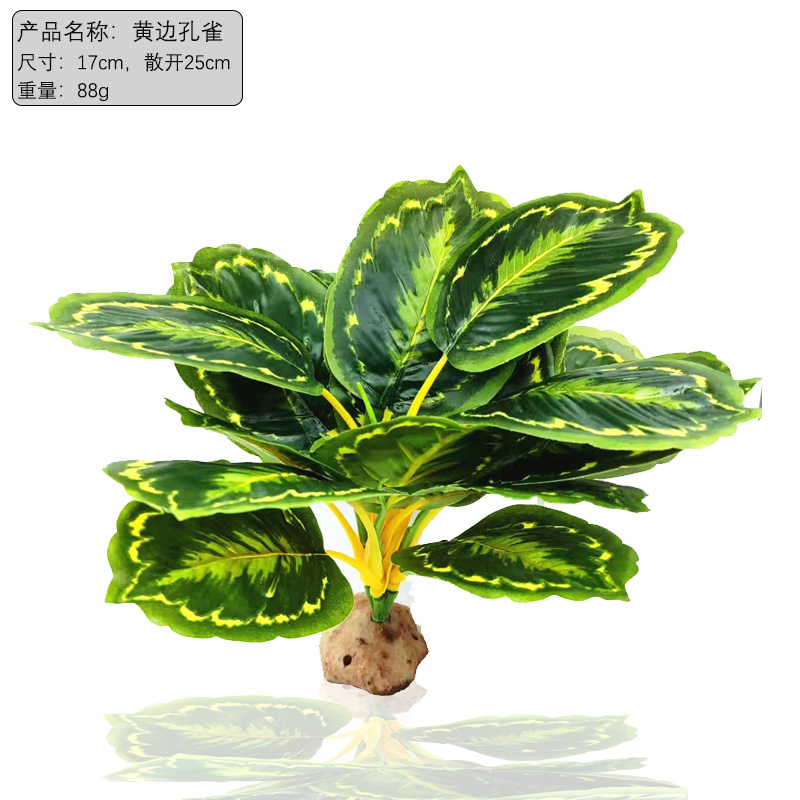 Nuevo producto Decoración de pecera Simulación de plantas acuáticas Paquete de paisajismo de acuario de plantas acuáticas Nuevos accesorios Decoración de plantas de reptiles