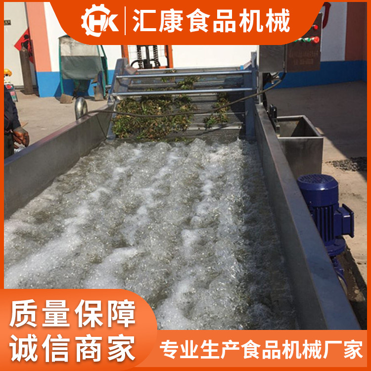 鼓风式自动输送气泡清洗机 水产品解冻设备 多功能蔬菜除污机