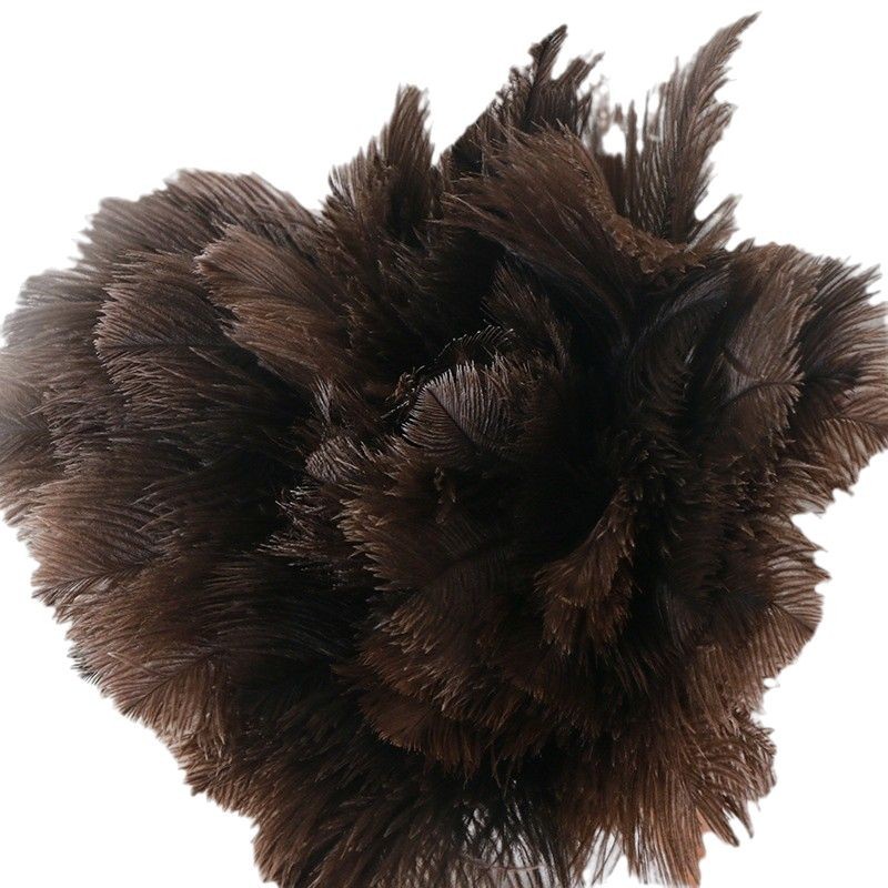 Plumas de avestruz plumero hogar coche plumero retráctil limpieza sanitario polvo plumero