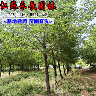 ����ֱ���ܘ�����ļ�����ͥԺ�Nֲ�����b��c�YҎ���Rȫ�ܘ����