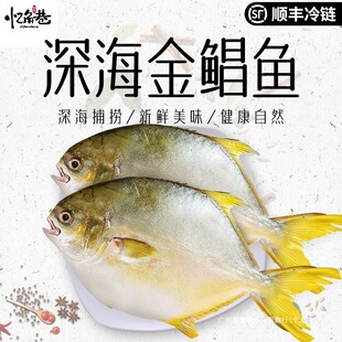 �ش�̖���K�~���r���~�K�~���������ش������rˮ�a�y�~���b