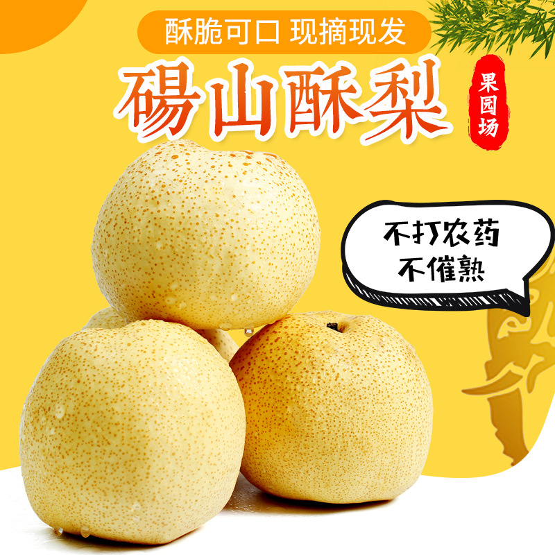 『砀山酥梨老树梨』安徽砀山梨新鲜酥梨大果雪梨9斤当季水果秋梨-阿里巴巴