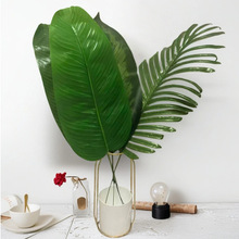 ~Gֲ쾰[˽Bb~ӱbپGֲ