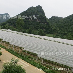 Wholesale greenhouse film plastic film agricultural film Black and white film PE film drip-free film transparent and durable