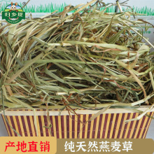 岷县高原燕麦草500g装归乡提烘干牧草仓鼠龙猫兔粮兔饲料产地批发