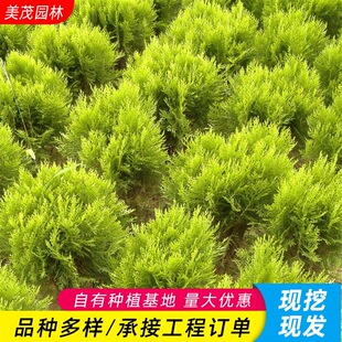 ����ع��������lͥԺ�G������С��ر��G�hֲ��ɫ�K�����������