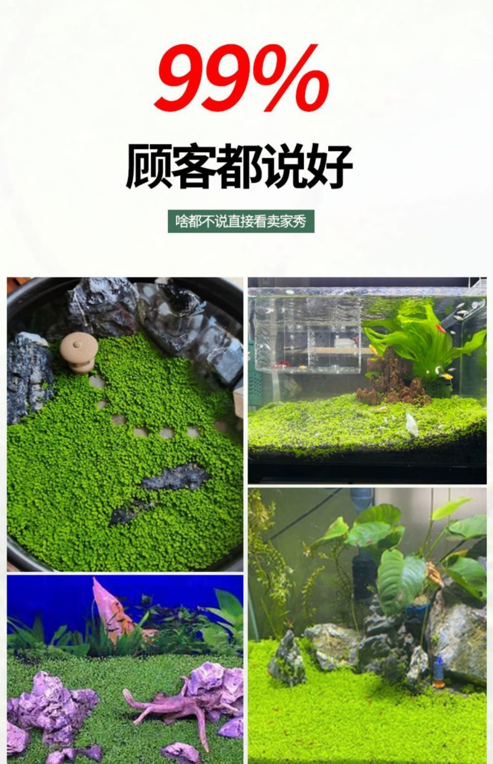 624aa136-383d-4a62-adf7-9fae6382a25e.jpe