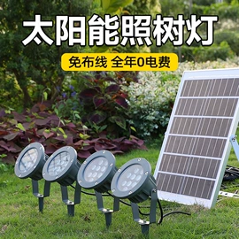 洗墙灯;线条灯/灯条;投光灯