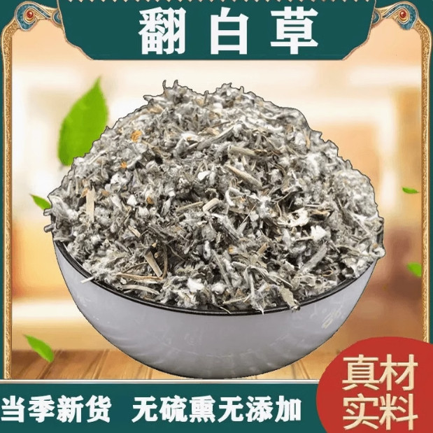 New supply of Chinese herbal medicine Panbaicao, whole plant with roots cut into sections, wholesale and retail, direct delivery New supply of Chinese herbal medicine Panbaicao, whole plant with roots cut into sections, wholesale and retail, direct delivery