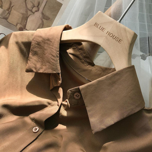 Design drooping long-sleeved clean shirt for women in autumn loose casual design niche versatile shirt layered top