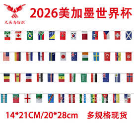 2026世界杯串旗美加墨48强球迷旗帜14*21cm装饰吊旗20*28cm拉旗