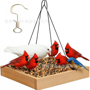 �F؛ľ�|�Ғ�ιʳ����ľ���s����ͥԺ�b������B�ι�B��