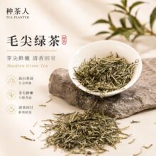 种茶人四川雅安毛尖绿茶叶 2026新茶电商直播 散装绿茶工厂批发