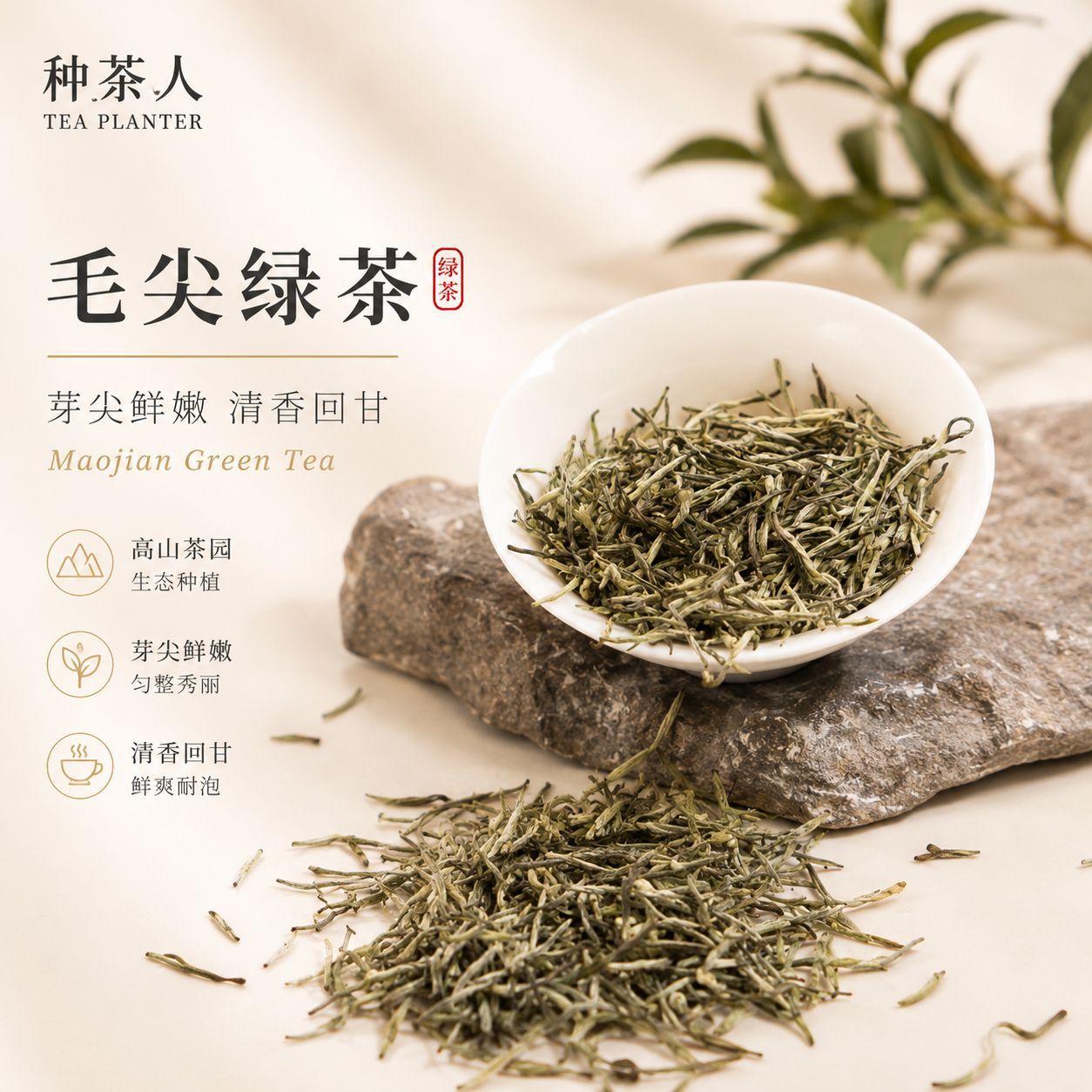 种茶人四川雅安毛尖绿茶叶 2026新茶电商直播 散装绿茶工厂批发