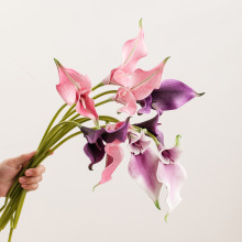 TRɏ滨ٻ߼лˇ[ߙnbƷ[