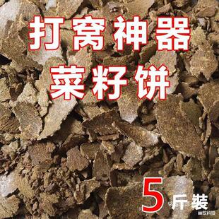 ���b�����ե�Ͳ����ҰីC�ϲ����C��~�r�ҿ���Խ�