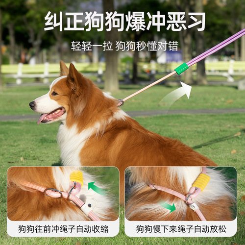 Dog Leash Anti-Explosion Shock Cord for Small Dogs Anti-Trip Chain Large Dog Harness Collar Walking Accessories