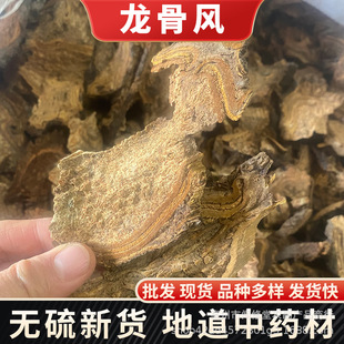 ��ș�����l�����L�w��ψ�oɽψ�o��؞���䱳��ȫһ�����l