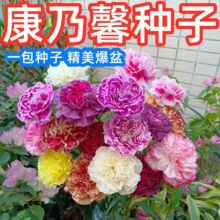 �ذ꿵��ܰ�N���̨ͥԺ���������ļ����N�������Ի��绨�N����