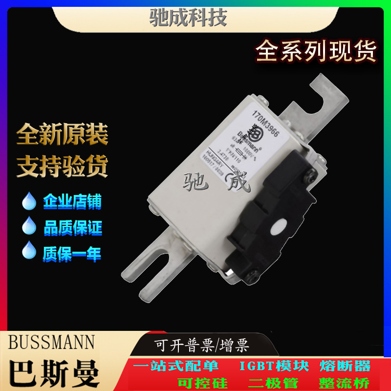 巴斯曼170M3973 170M3974 170M3975 厂价供应原价销售 快速保险丝