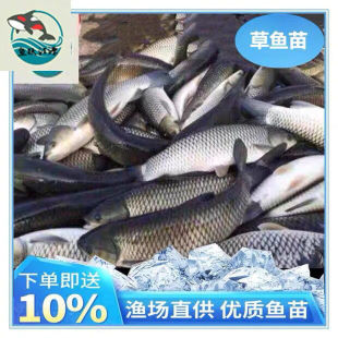 �Ĵ��ɶ�����~�����~�F؛�Ĵ���~�絭ˮ�~��F؛���]����