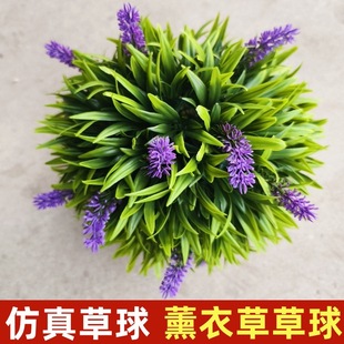 ����ֲ��޹�²���Gֲ�T�ꠝ���b����������̈������ȼ�������