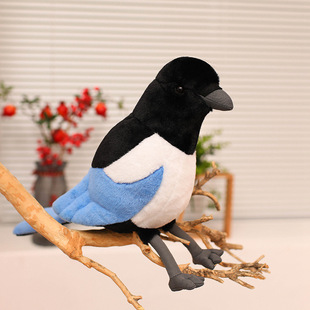 �羳����ϲ�oë�q��߹��пɐ�С�B��ż�����ރ�ͯ�Y�����@�YƷ
