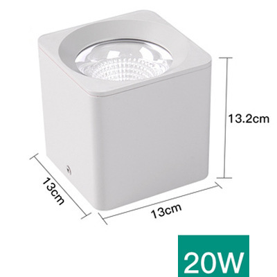20w white light [6000k] white shell